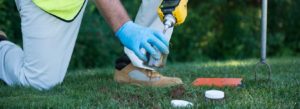 Roundup Health Concerns May Go Beyond Cancer