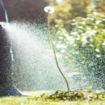 EPA Rejects California Labels Warning of Glyphosate in Roundup